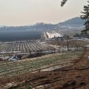 진성태양광발전소 이미지