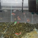 아쿠아 커피연구소 이미지