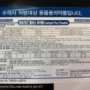 바다동물약국 이미지