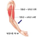 무브먼트헬퍼