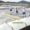 명품미용재료