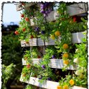 펜션정원 이미지