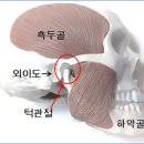 오에프피구강내과치과의원 이미지