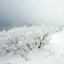 한마음자동차공업사 이미지