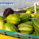 주환농장 이미지