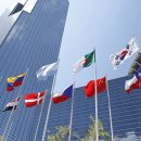 21세기 세계로약국 이미지