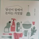 당신이 집에서 논다는 거짓말 - 정아은 지음 이미지