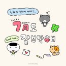 구미로가디스 | 7월, 첫 번째 일상 모음