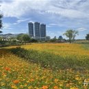 낙동강관리본부-1 이미지