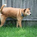 송파바로동물병원 이미지