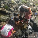 금화계곡주차장 이미지