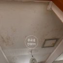푸르내 | 욕실 화장실 오래된 구옥 돔,평 SMC천장으로 새로 교체 후기!!!마포구 용강동 푸르내 인테리어