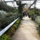 극복 농장 이미지