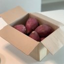숙이농산 - 제주시 구남로 16 | 해남 길숙이농산 햇고구마, 꿀밤고구마 | 허니버터치즈 고구마, 임산부간식