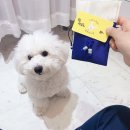 멈무유치원 이미지