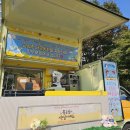 서울금성초등학교 이미지