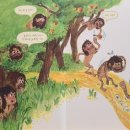 숲의 이야기를 들어볼래? 이미지