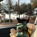 타타스베이글 평택용이점 이미지