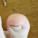 누빌샵1 이미지