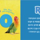 리프리오
