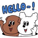 미나애견 이미지