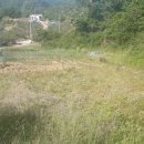 대소원면사무소 이미지