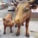 임성농장 이미지