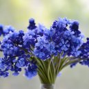 동박골식당 이미지