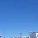 엘리트태권도장 이미지