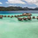 타히티 카카오 검색결과