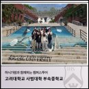 고려대학교사범대학부속중학교 | 하늬가람과 함께하는 캠퍼스투어_고려대학교 사범대학 부속중학교