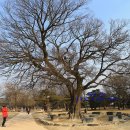 광한루원 정문 이미지