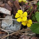 장복산길 이미지