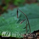 한라전설(주) 이미지