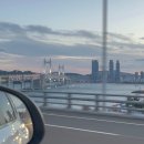 (주)사이메딕스트레이딩 | 상견례 의상 및 모든 것 꿀팁 조언 PPT 자료 공유