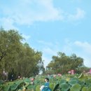 한복농장 이미지