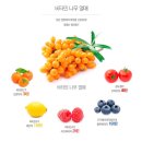 마이페이스