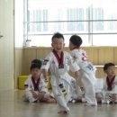 선라이즈 태권도 이미지