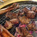 갈비둥지 | [대구 돼지갈비 맛집] 갈비 생각날 때마다 재방문하는, 갈비둥지 후기