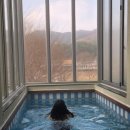 더 가평 풀빌라 | [가평여행] 가평 풀빌라/독채빌라 추천 '가평 더웰니스 풀빌라&amp;펜션' 후기 (풀빌라 , 레드원)