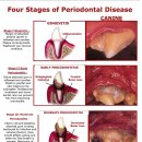 24시 굿케어동물의료센터 이미지