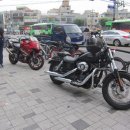 세븐일레븐 안동광명점 | 광명대장네 분당 서현역 &#34;코코이찌방야&#34; 습격 후기