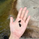 송계솔밭 화장실 | 송계계곡 / 무료로 취사가능한 송계계곡 덕주 솔밭...계곡 당일치기 / 위치 주차 운영시간 화장실 계곡