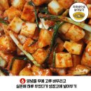 황금설렁탕