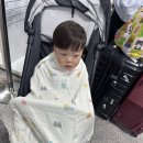 RR-540[오창대로]-상-1 | 오사카여행 : 아기랑 부모님 모시고 떠난 11월 가을 오사카여행🍂/청주공항/대기수산/오사카성/도톤보리...