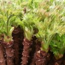 녹수농장 이미지