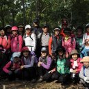 안계초등학교앞 공원 이미지