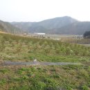 상진농장 이미지