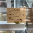 시고르디저트카페 | 선화동 귀여운 디저트 카페 ‘모도시’ 망고 요거트 케이크 내돈내산 솔직후기 / 성심당 근처 카페 추천