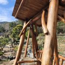 진도한옥목향민박 이미지